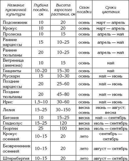 lukrast1